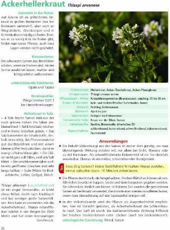Actual product image The herbs in my garden (German, Siegrid Deer, Felix Grünberger, 2022)
