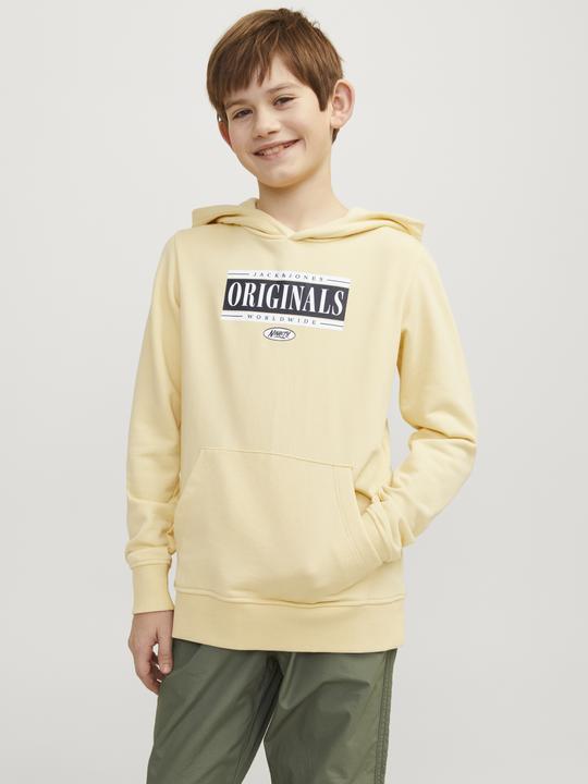 Image du produit Jack & Jones Jorcobin Sweat Hood Jnr (176)