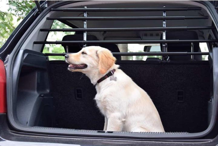 Image du produit Walky Dog Barrière de sécurité pour chien WALKY Barrier réglable 82-141 cm (Chien, Réflecteurs)