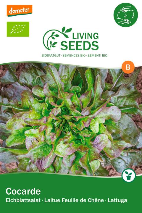 Produktbild Living Seeds grüner Eichblatt Salat, Cocarde (Gemüsesamen)