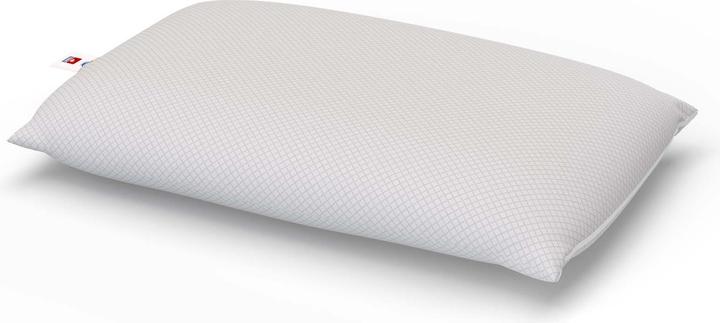 Image du produit Velfont Outlast-Viscofresh (50 x 70 cm)