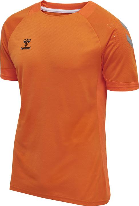 Tigre arancione