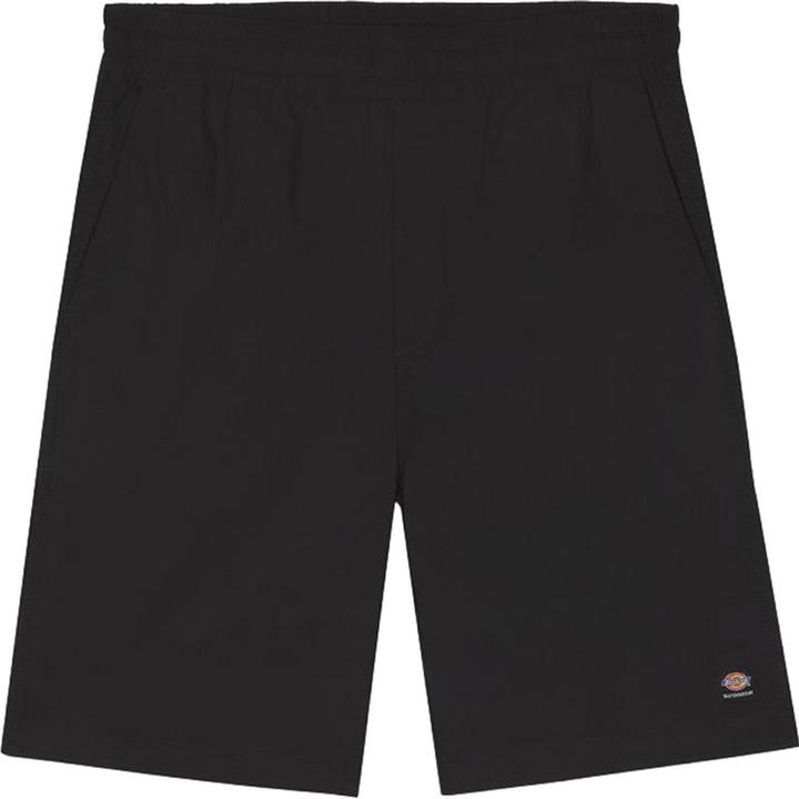 Actual product image Dickies Jackson Cargo Shorts (S, L)