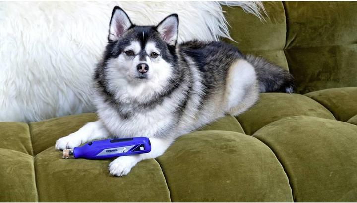 Immagine prodotto Dremel Cura degli artigli degli animali (Cane)