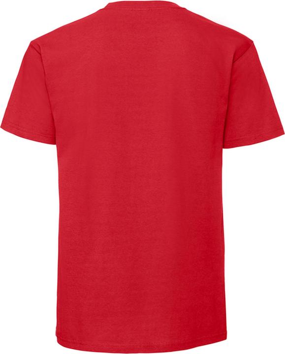Actual product image Fruit of the Loom Mens Iconic Premium Ringspun Cotton T-Shirt (XXL)