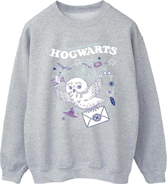 Actual product image Womens/Ladies Owl Letter From Hogwarts Sweatshirt (XL)
