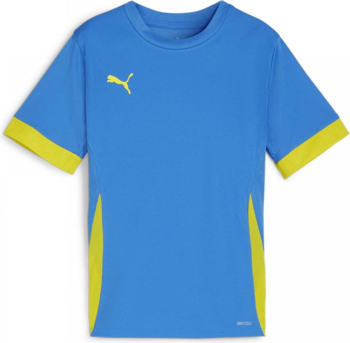 Actual product image Puma teamGOAL Matchday Jersey jr (128)