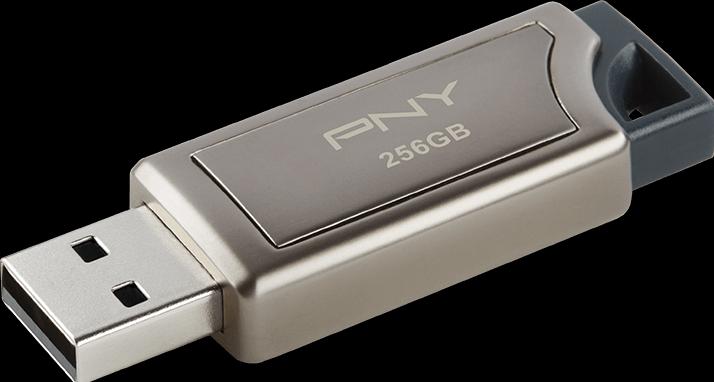 Actual product image PNY Pro Elite (256 GB, USB-A)