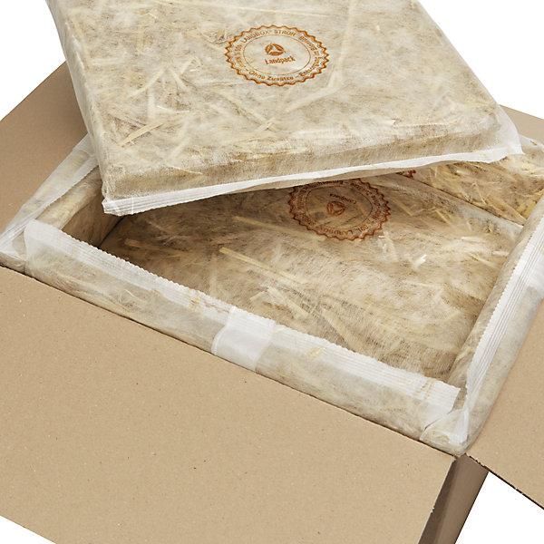 Image du produit kaiserkraft Thermobox terra - Landbox (102 x)
