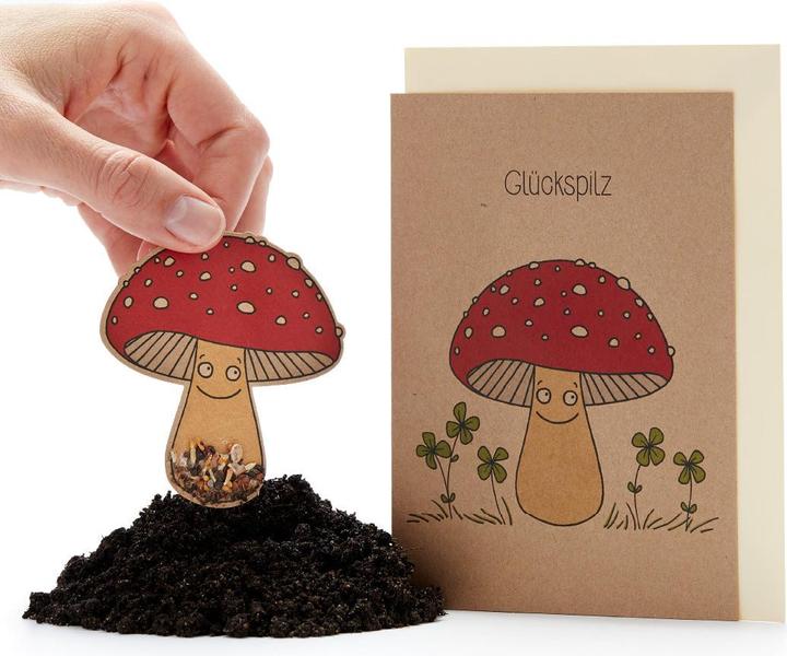 Die Stadtgärtner Lucky mushroom greeting card with flower seeds (1 pcs.)