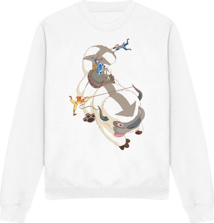 Produktbild Avatar: The Last Airbender Hang On Sweatshirt (XXL)