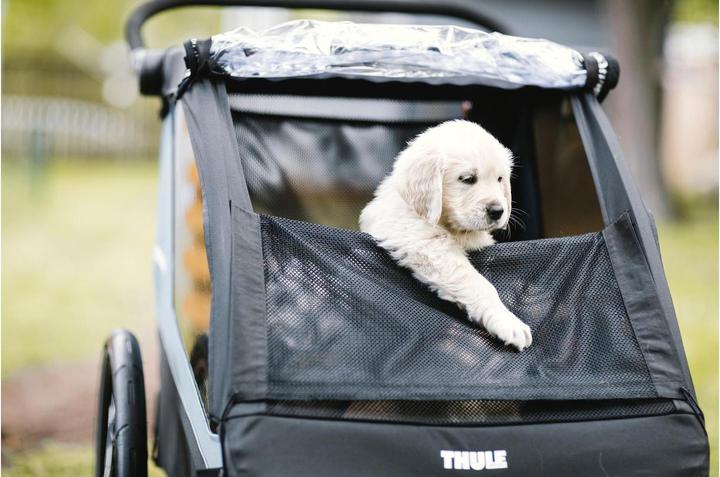 Produktbild Thule Hundeset zu Courier