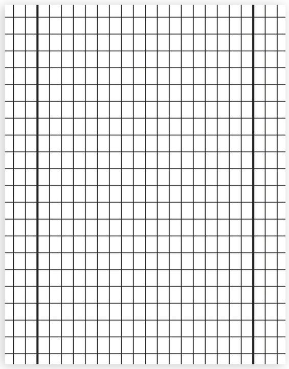 Immagine prodotto Staufen Quaderno d'esercizi Righello Premium formato 29 ruvido DIN A4 margine interno ed esterno, 16 fogli (A4, Copertina rigida)