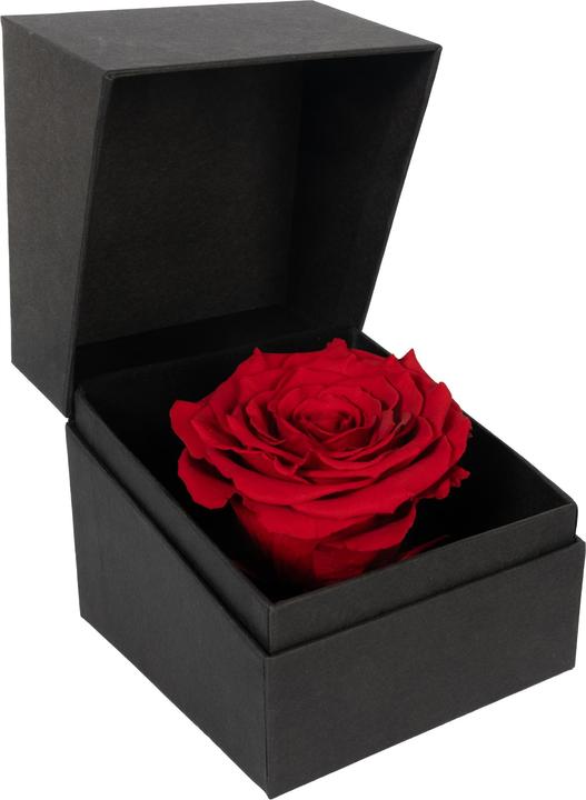Migros Ostschweiz Rose in gift box (Infinity Flowers)