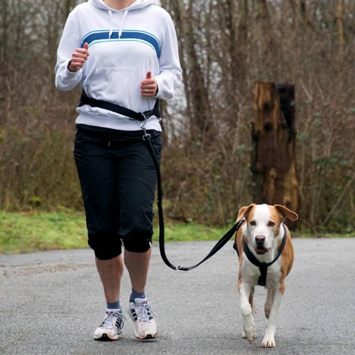 Produktbild Trixie Joggingleine Bauchgurt (M, Hund, Jogging)