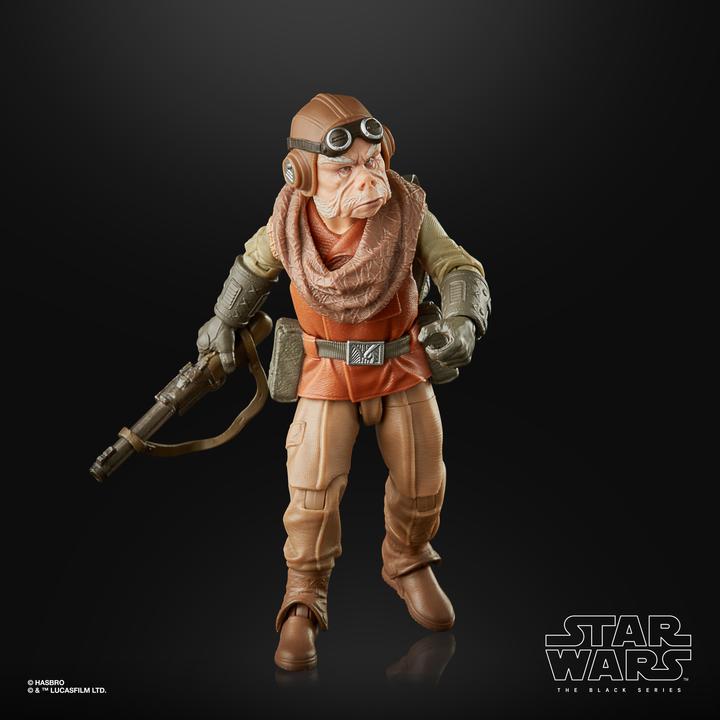 Image du produit Hasbro The Black Series Kuiil