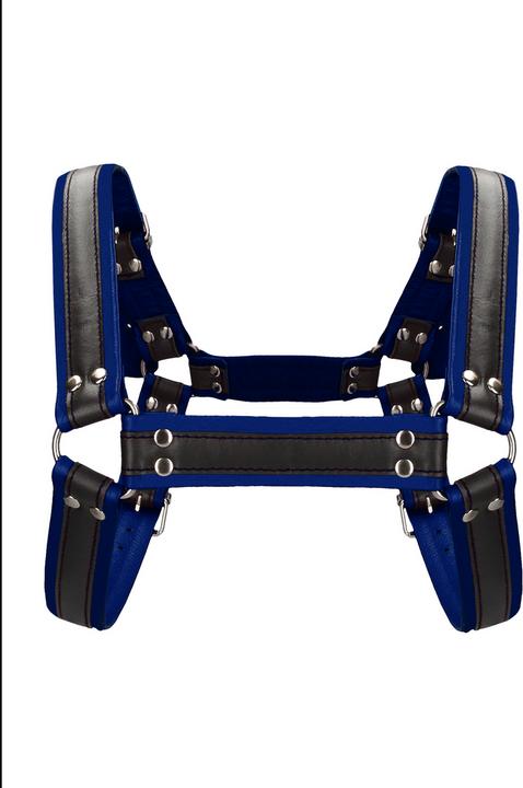 Image du produit Ouch! Buckle Bulldog Harness - S/M (S/M)