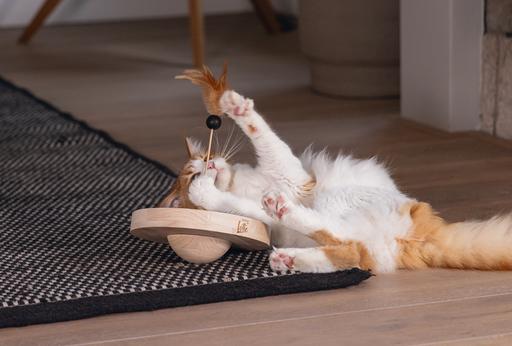 Actual product image Designed by Lotte Winni (Catmint toy)