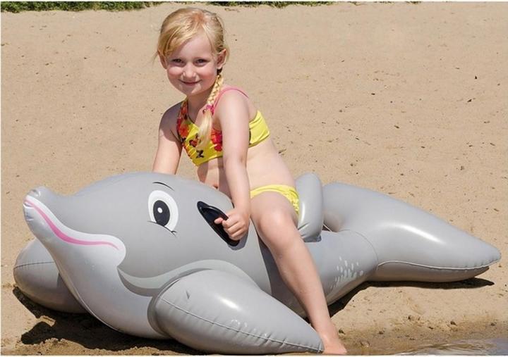 Actual product image Happy People Dolphin