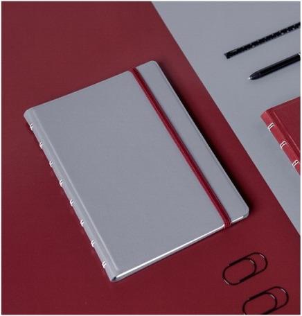 Image du produit Filofax Carnet de notes Notebook A5 Classic graphite (A5, À rayures, Couverture rigide)
