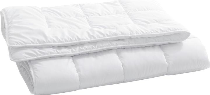 Immagine prodotto Billerbeck Edition Seta (1050 g, 240 x 240 cm)
