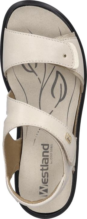 Immagine prodotto Westland 25901-644 (39)