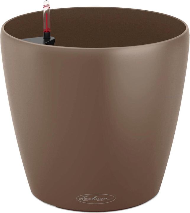 Actual product image Lechuza Classico Color (34.50 cm)