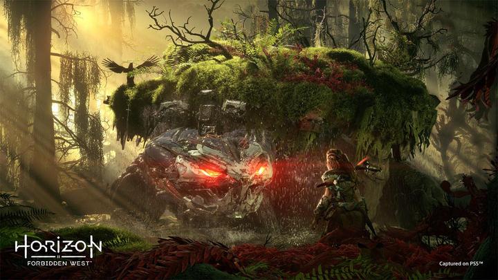 Produktbild Sony Horizon Forbidden West Collectors Edition (PS5, PS4, EN)