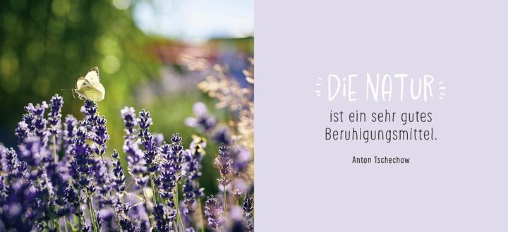 Produktbild Gute Besserung (Deutsch, Groh Verlag, 2023)