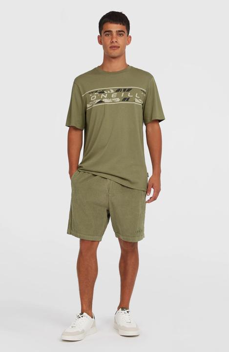 Actual product image O'Neill Cord Shorts (S)