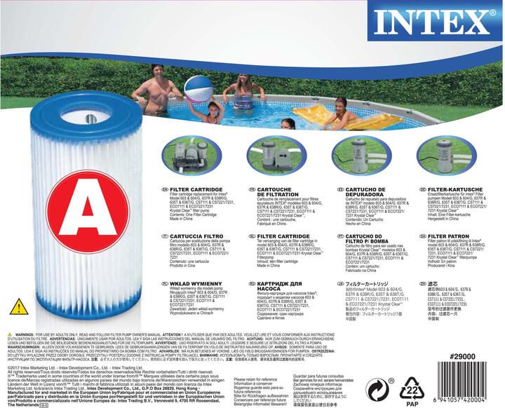 Actual product image Intex Filter cartridge type A