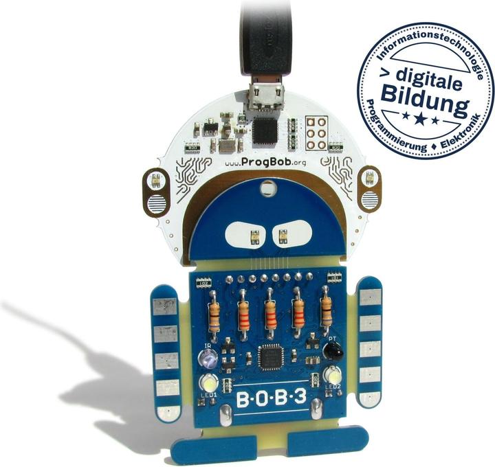 Actual product image Nicai Systems Bob3
