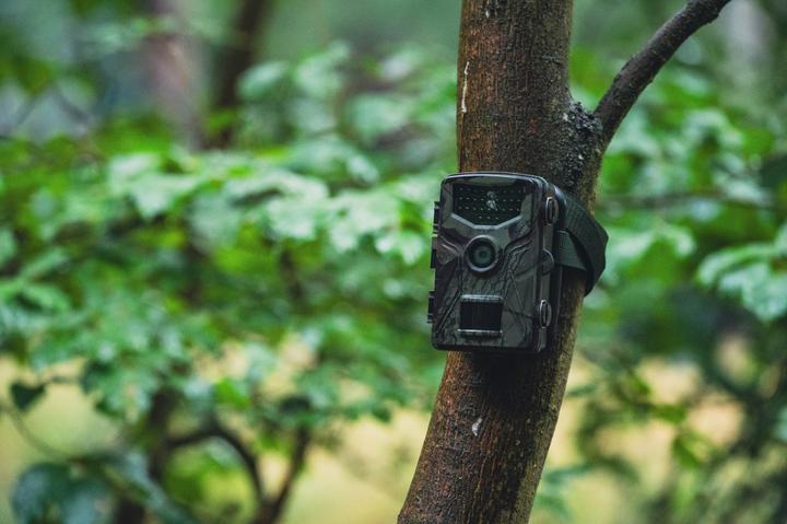 Produktbild Braun Photo Scouting Cam Black575