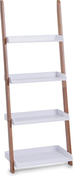 Ladder shelf