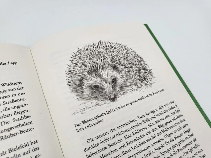 Produktbild Die unglaubliche Kraft der Natur (Deutsch, Madlen Ziege, 2023)