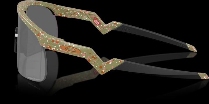 Image du produit Oakley Resistor (FERN TERRAZZO)