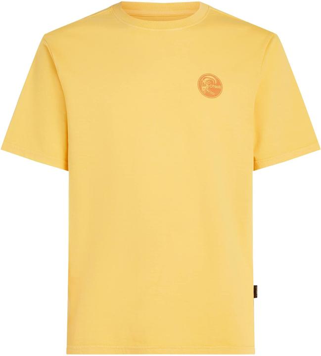 O'Neill O'Riginals Vintage Graphic T-Shirt