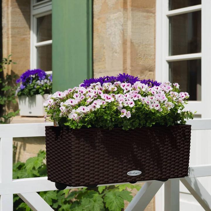 Actual product image Lechuza Balconera Cottage (19 cm)