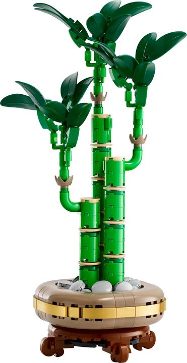 Image du produit LEGO Glücks-Bambus (10344, LEGO Icons)