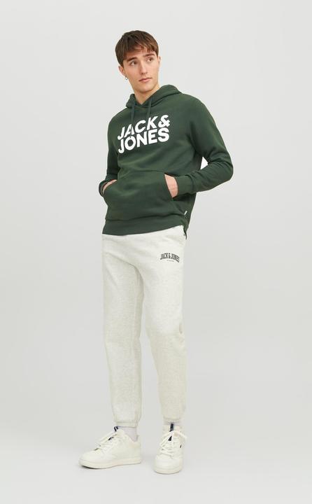 Immagine prodotto Jack & Jones Felpa con cappuccio con logo (L)