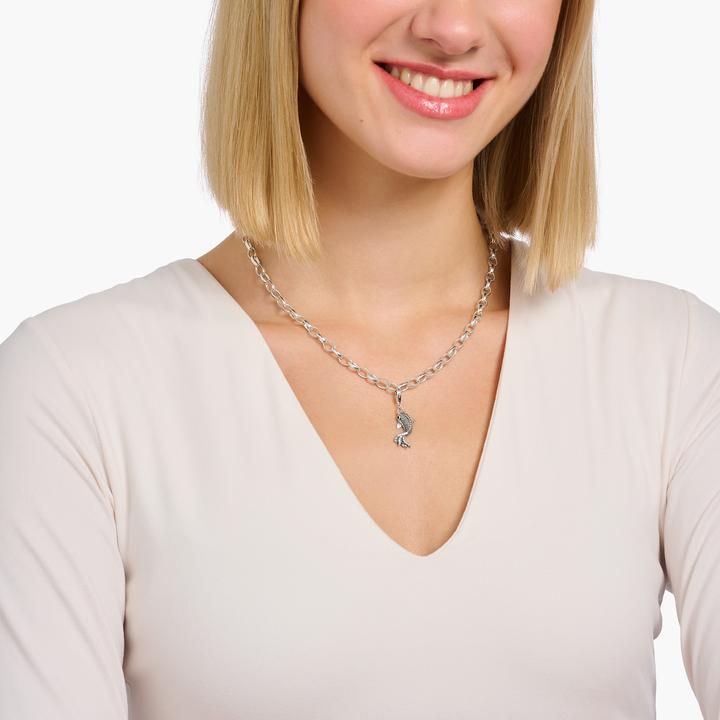 Produktbild Thomas Sabo Charm Sterling Silver (925er Silber)