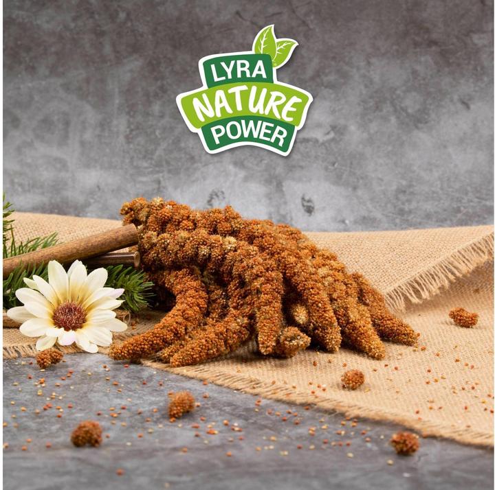 Image du produit Lyra Pet Millet en épi (1 x, 1 kg)