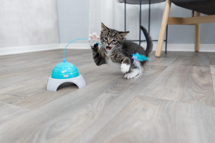 Actual product image Trixie Catch Me (Catmint toy)