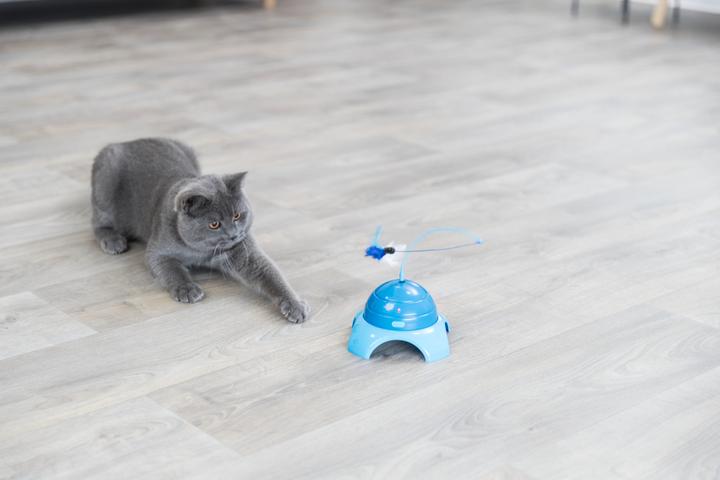 Actual product image Trixie Catch Me (Catmint toy)