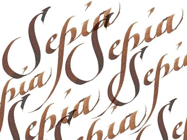 Produktbild Winsor & Newton Tinte Calligraphy Ink sepia (Tintenfass, Braun)