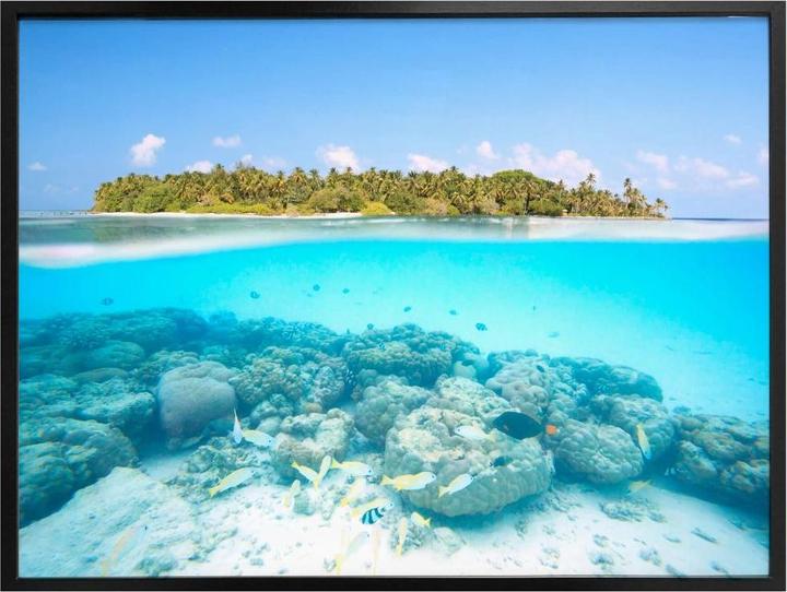 Actual product image Trenddeko Maldives underwater world (60 x 50 cm)