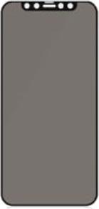 Actual product image PanzerGlass Case Friendly Privacy (1 Piece, Apple iPhone 12 Pro Max)