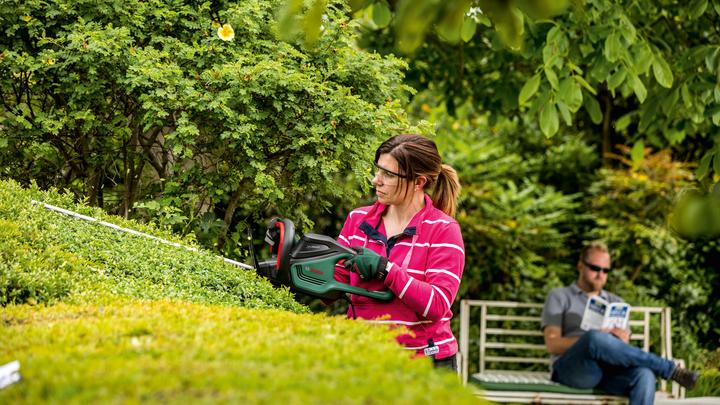 Actual product image Bosch Home & Garden AdvancedHedgeCut 65 (Electric hedge trimmer)