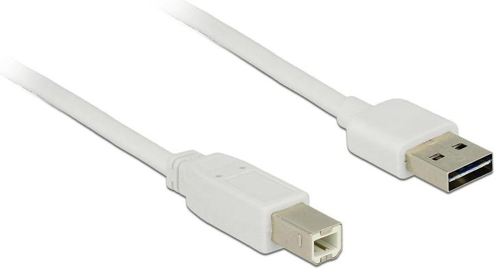 Immagine prodotto Delock Cavo USB2.0 Easy A-B: 1m, bianco (1 m, USB 2.0)