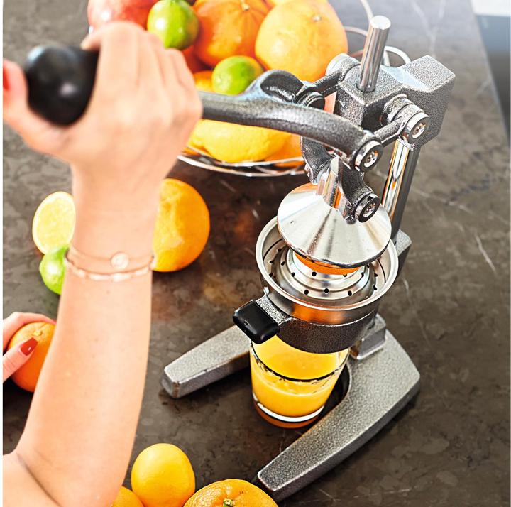 Actual product image Lumaland Juicer